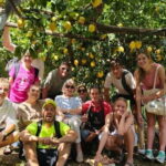 Tramonti: Lemon Tour at "Formichelle" Farm on Amalfi Coast - The Itinerary: What to Expect