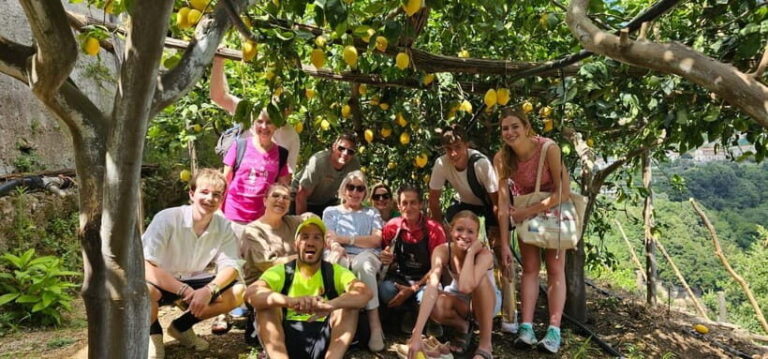 Tramonti: Lemon Tour at "Formichelle" Farm on Amalfi Coast - The Itinerary: What to Expect