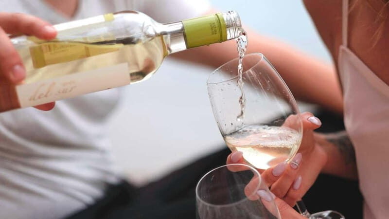 TRANI: Exclusive Panino Tasting - In-Depth Breakdown of the Panino Tasting