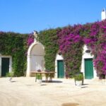 Trani Wine Tours: Flavors of Puglia - Authenticity and Unique Aspects