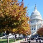 Transfer from Washington DC to Dulles International Airport - Authentic Insights from User Feedback