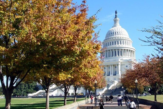 Transfer from Washington DC to Dulles International Airport - Authentic Insights from User Feedback