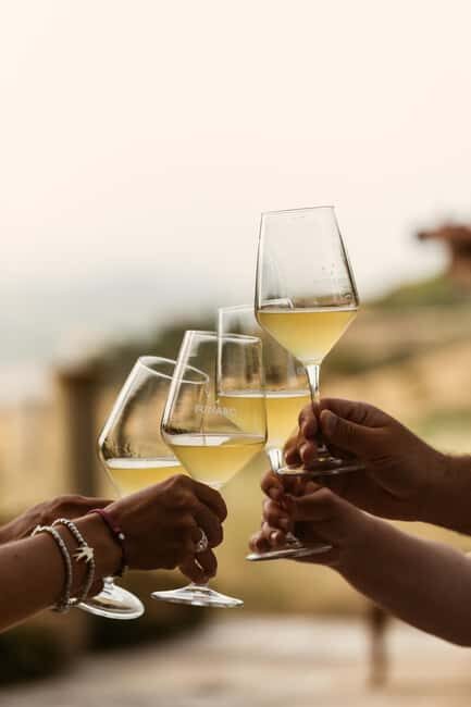 Trapani: Organic Wine Tasting with the Producer - An In-Depth Look at the Organic Wine Tasting Tour