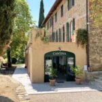Trasimeno: Discovering Montemelino Wine Experience - Is This Tour Worth It?