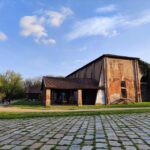 Trekking in the Wood with picnic on the turtles lake - Detailed Itinerary Breakdown