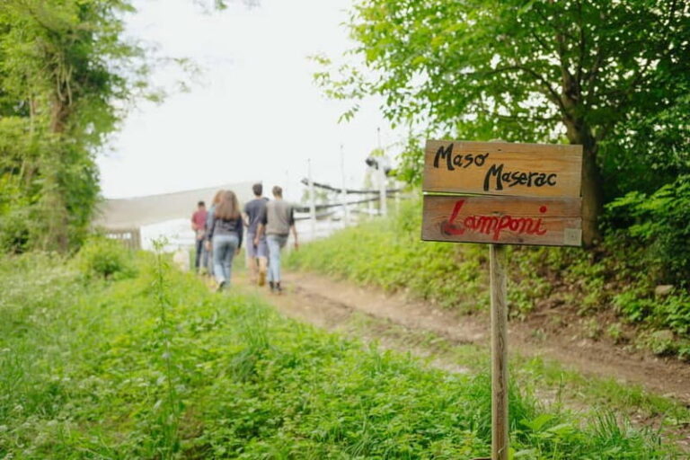 Trentino Agriconda: frutTIAMO...Explore, Learn, Taste Small Fruits - Detailed Breakdown of the Tour Itinerary