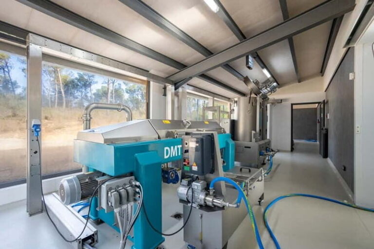 Treurer: Olive Oil Night. Gastronomic experience - Why This Tour Offers Value