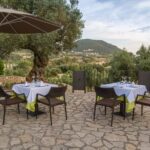 Treurer: Tapas Gourmet and Extra Virgin Olive Oil - FAQ