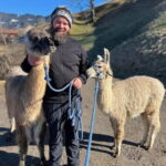Triesenberg: Walk with Llamas in the Mountains - Why This Tour Is Worth Considering