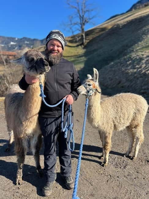Triesenberg: Walk with Llamas in the Mountains - Why This Tour Is Worth Considering