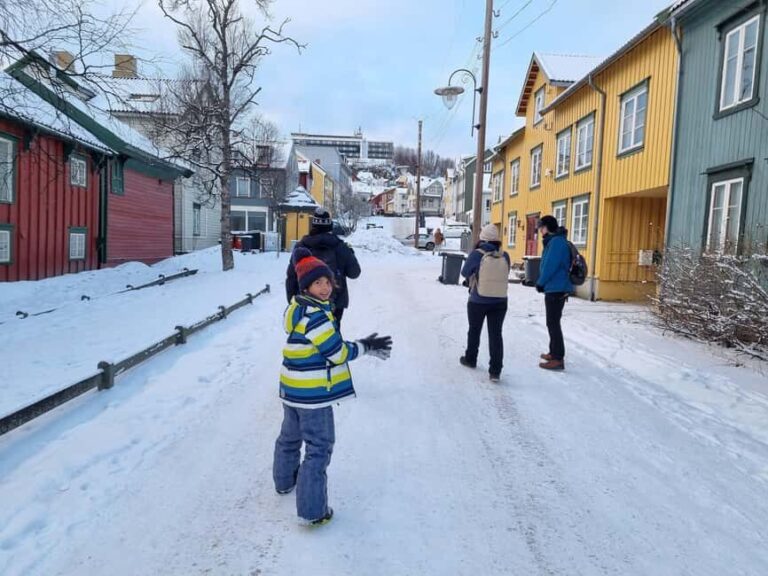 Tromsø: Arctic Cathedral and City Walking Tour - Practical Details & What to Expect  