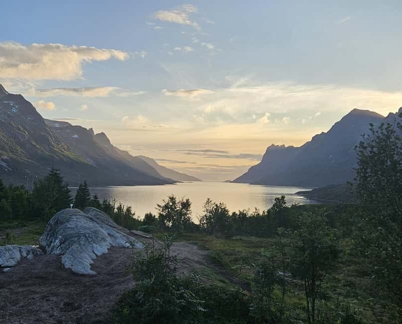 Tromsø: Arctic Fjords Tour. Sommerøya and Kvaløya with Lunch - What Sets This Tour Apart