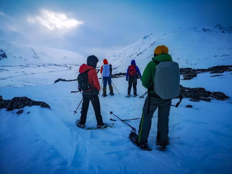 Tromsø: Arctic Snowshoeing Experience - Why This Tour Offers Great Value