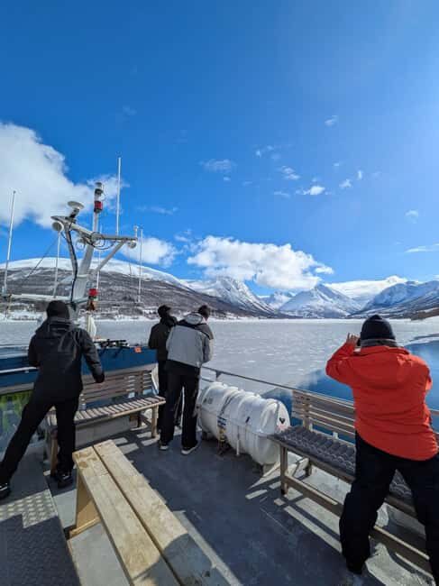Tromsø: Christmas Cruise in the Arctic Fjords - Setting the Scene: What You Can Expect