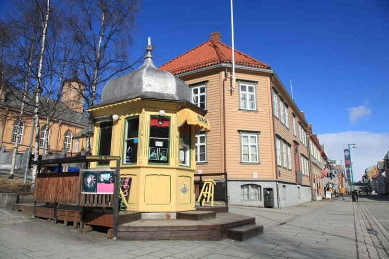 Tromsø: City Walk & Polar Museum (Private or Shared) - Who Will Love This Tour?