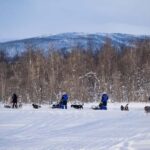 Tromsø: Dog Sledding Adventure at Camp Aspemo - Who Should Consider This Tour?