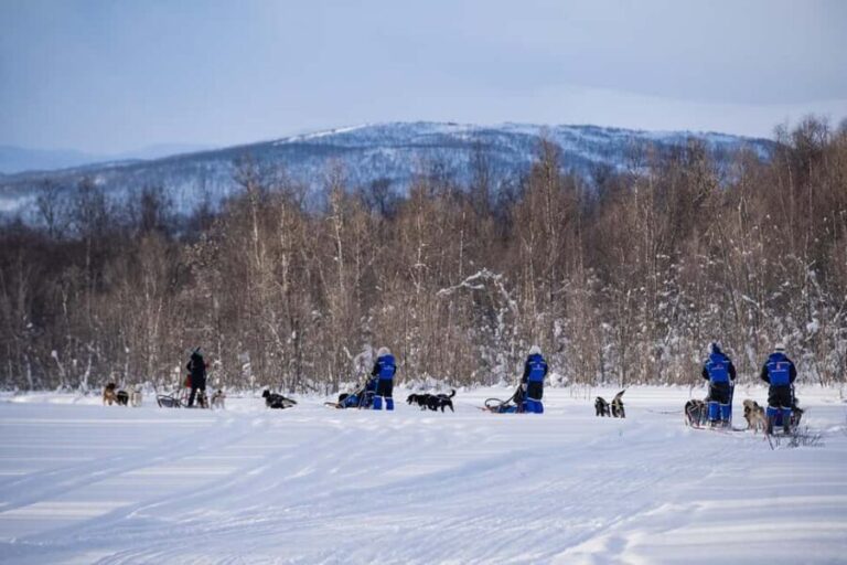 Tromsø: Dog Sledding Adventure at Camp Aspemo - Who Should Consider This Tour?