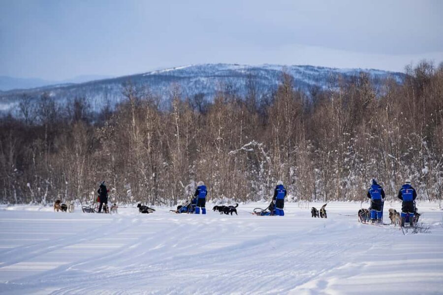 Tromsø: Dog Sledding Adventure at Camp Aspemo - Who Should Consider This Tour?