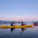 Tromsø: Easy Winter Kayaking Tour with Seal Watching - Detailed Breakdown of the Tour Itinerary