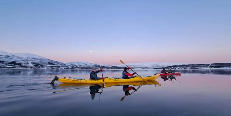 Tromsø: Easy Winter Kayaking Tour with Seal Watching - Detailed Breakdown of the Tour Itinerary
