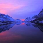 Tromsø: Evening Sightseeing Cruise All-inclusive - Wildlife Encounters