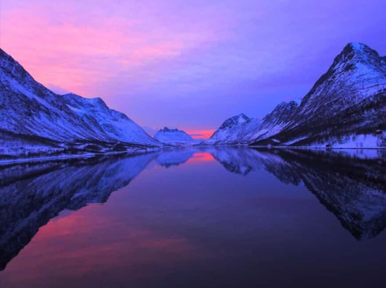 Tromsø: Evening Sightseeing Cruise All-inclusive - Wildlife Encounters