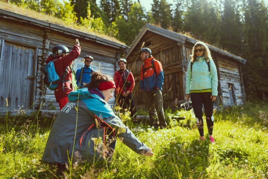 Tromsø: Explore Tromso by E-bike - Detailed Breakdown of the Itinerary