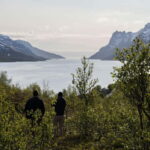 Tromsø: Fjord Tour and Visit to Sommarøy with Expert Tour Guide in Italian - What We Loved About This Tour
