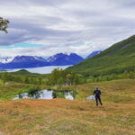 Tromsø: Guided Hiking Tour with Roundtrip Transfers - An In-Depth Look at Tromsø’s Guided Hiking Experience
