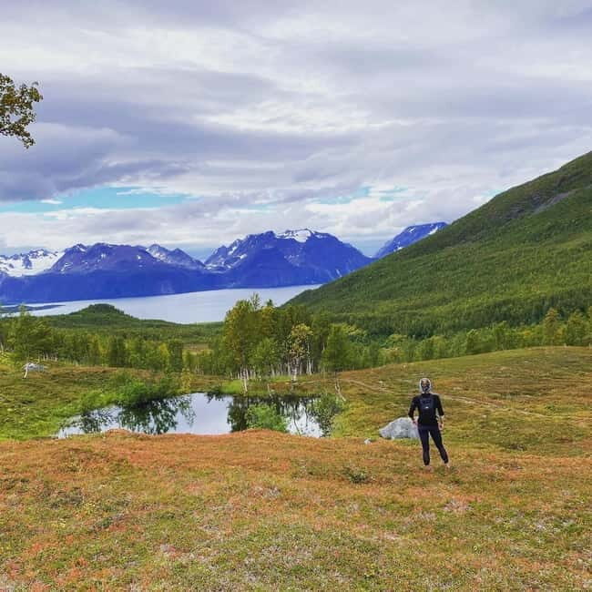 Tromsø: Guided Hiking Tour with Roundtrip Transfers - An In-Depth Look at Tromsø’s Guided Hiking Experience