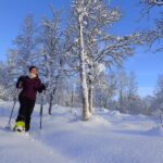 Tromsø: Guided snowshoe trip with a campfire - Exploring Tromsøs Snowshoe Adventure in Detail