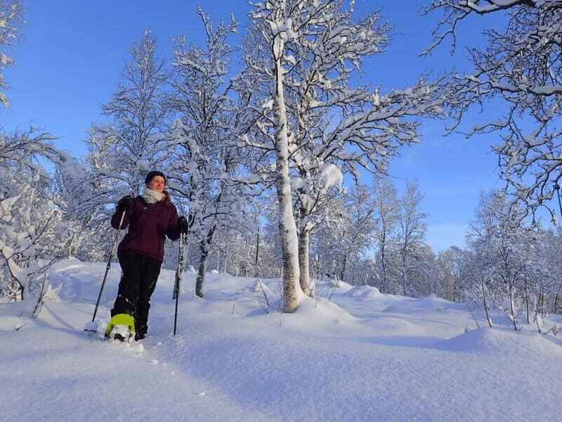 Tromsø: Guided snowshoe trip with a campfire - Exploring Tromsøs Snowshoe Adventure in Detail