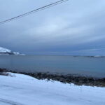 Tromsø Half-Day Tour: Fjords & Sommarøy Adventure - The Itinerary Breakdown