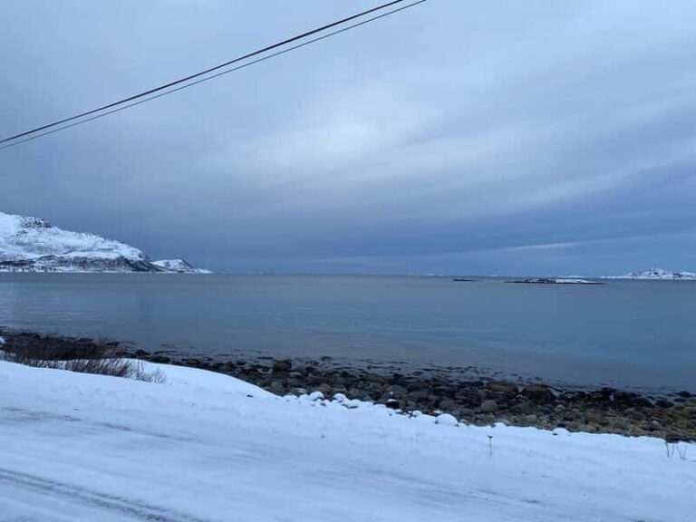 Tromsø Half-Day Tour: Fjords & Sommarøy Adventure - The Itinerary Breakdown