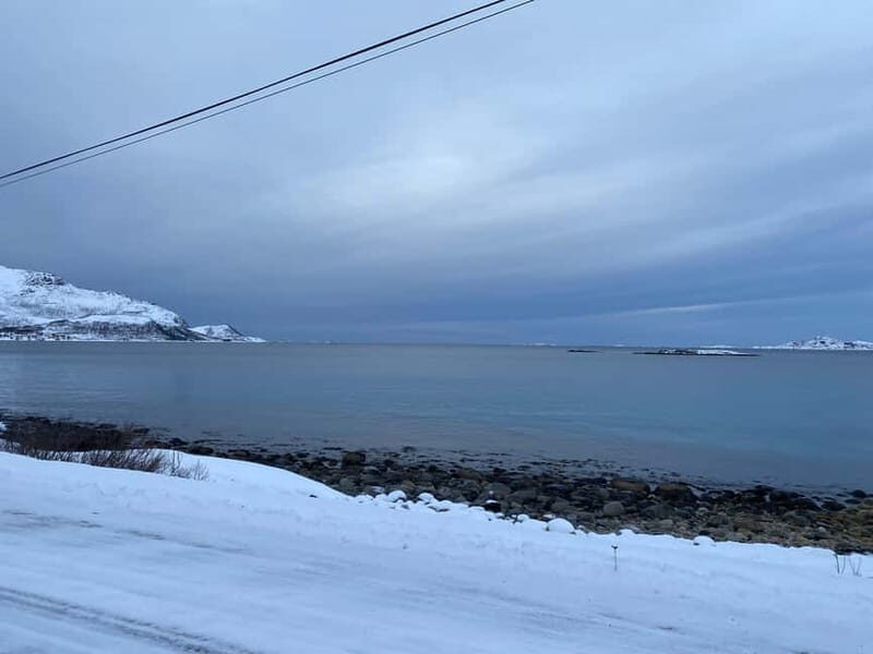 Tromsø Half-Day Tour: Fjords & Sommarøy Adventure - The Itinerary Breakdown