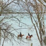 Tromsø: Horseback Riding Tour vinter/summer - What’s Included and Practical Tips