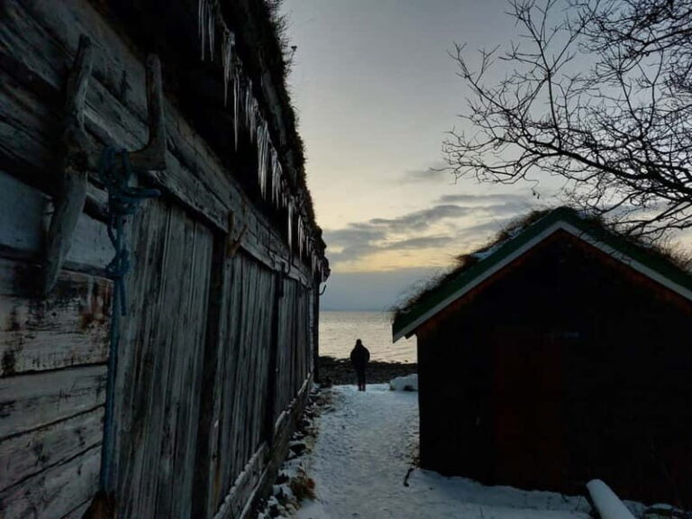 Tromsø: Island of Kvaløya Scenic Sightseeing Minibus Tour - Transportation, Timing, and Group Dynamics