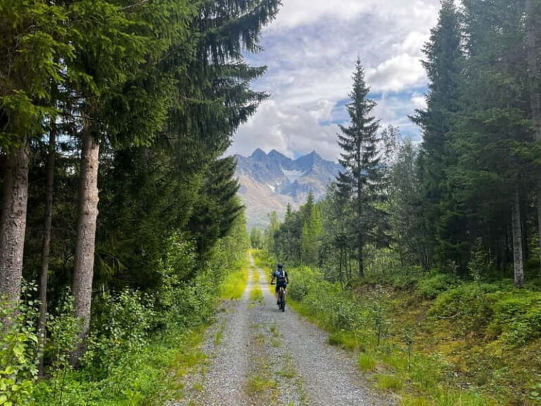 Tromsø: Lyngen Alps Electric Mountain Bike Tour - Why This Tour Offers Great Value