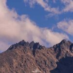 Tromsø: Lyngen Alps Sightseeing Tour with Lunch - An In-Depth Look at the Tour Experience