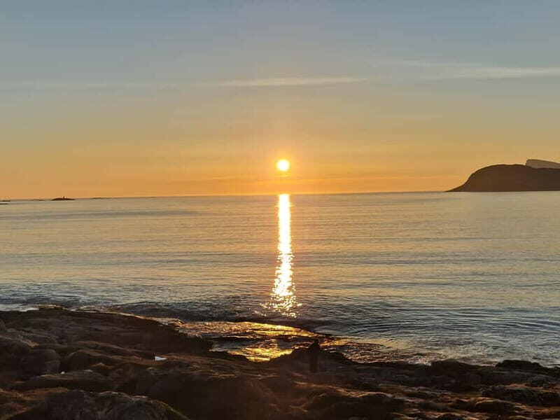 Tromsø: Northern Lights Adventure in Tromsø with Free Photos - A Detailed Look at the Tromsø Northern Lights Tour