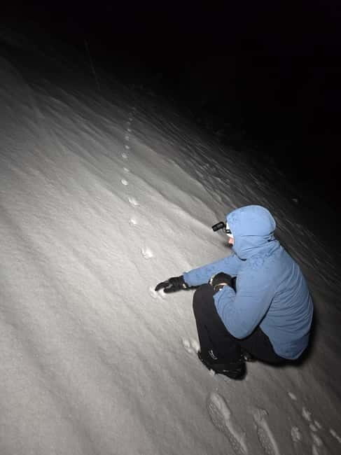 Tromsø: Northern Lights and a Starlit Adventure Tour - The Guided Snow Hike