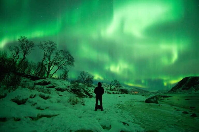 Tromsø: Northern Lights Hunt with Professional Photographer in Spanish - The Sum Up