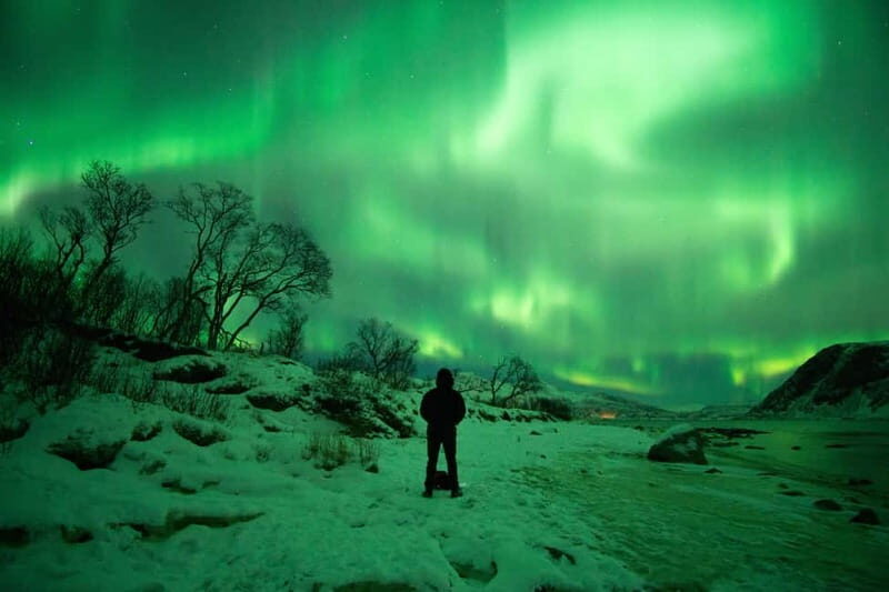 Tromsø: Northern Lights Hunt with Professional Photographer in Spanish - The Sum Up