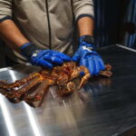 Tromsø: Northern Lights Live King Crab Dinner by the Sea - Practical Details