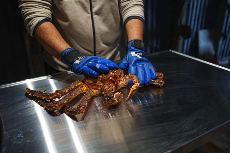 Tromsø: Northern Lights Live King Crab Dinner by the Sea - Practical Details