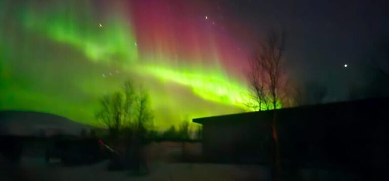 Tromsø: Northern Lights Tour with Campfire - An In-Depth Look at the Experience