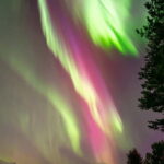 Tromsø: Northern Lights Tour with Hot Drinks and Snacks - What You Should Know Before Booking