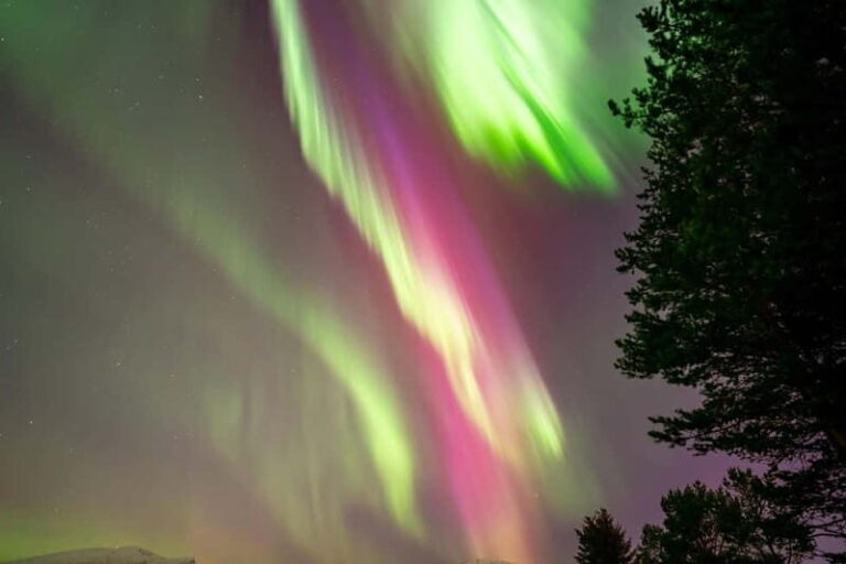 Tromsø: Northern Lights Tour with Hot Drinks and Snacks - What You Should Know Before Booking
