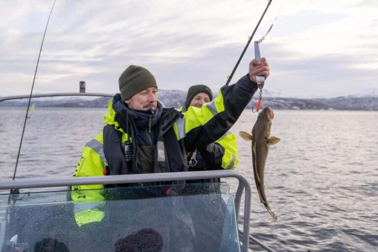 Tromsø: Private Fishing Tour - The Scenic 20-40 Minute Boat Ride