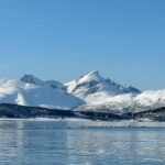 Tromsø: Private Fjord Boat Tour Around the City - What Makes This Tour Stand Out?